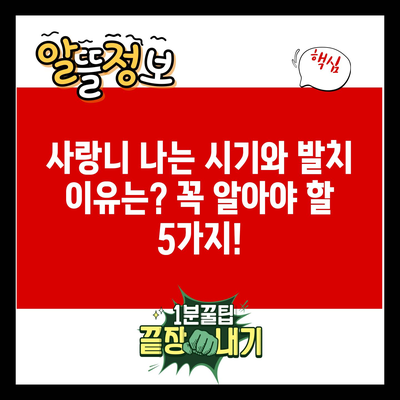 사랑니 나는 시기와 발치 이유는? 꼭 알아야 할 5가지!