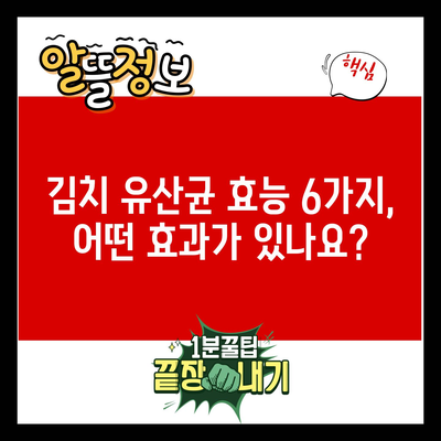 김치 유산균 효능 6가지, 어떤 효과가 있나요?