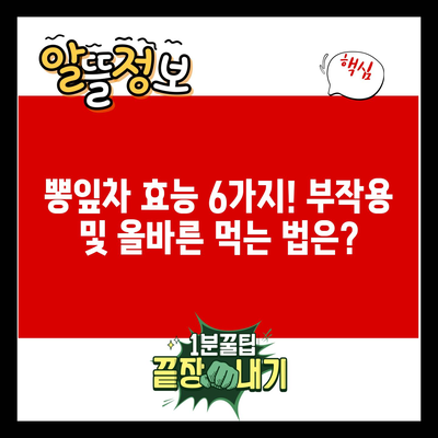 뽕잎차 효능 6가지! 부작용 및 올바른 먹는 법은?