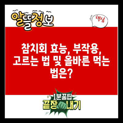 참치회 효능, 부작용, 고르는 법 및 올바른 먹는 법은?