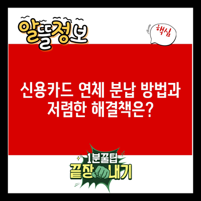 신용카드 연체 분납 방법과 저렴한 해결책은?