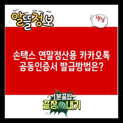 손택스 연말정산용 카카오톡 공동인증서 발급방법은?