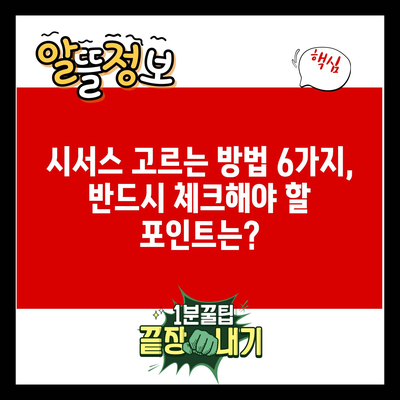 시서스 고르는 방법 6가지, 반드시 체크해야 할 포인트는?