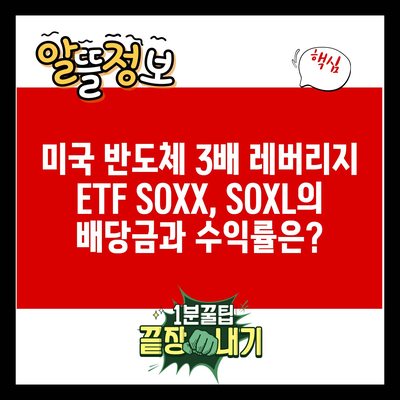 미국 반도체 3배 레버리지 ETF SOXX, SOXL의 배당금과 수익률은?