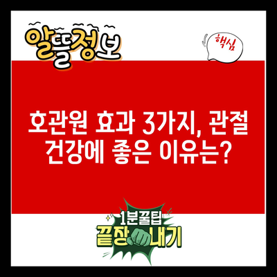 호관원 효과 3가지, 관절 건강에 좋은 이유는?