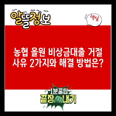 농협 올원 비상금대출 거절 사유 2가지와 해결 방법은?