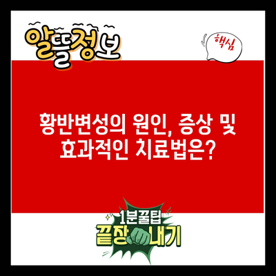 황반변성의 원인, 증상 및 효과적인 치료법은?