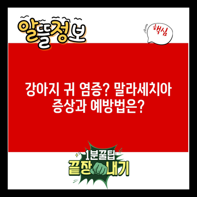 강아지 귀 염증? 말라세치아 증상과 예방법은?