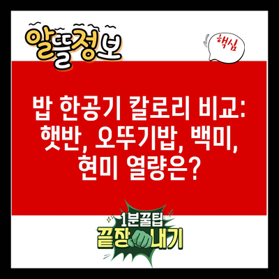 밥 한공기 칼로리 비교: 햇반, 오뚜기밥, 백미, 현미 열량은?