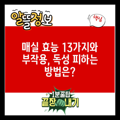 매실 효능 13가지와 부작용, 독성 피하는 방법은?