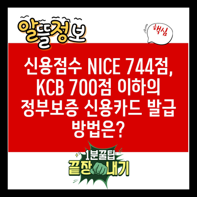 신용점수 NICE 744점, KCB 700점 이하의 정부보증 신용카드 발급 방법은?