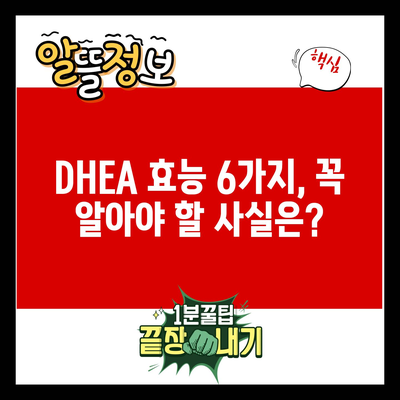 DHEA 효능 6가지, 꼭 알아야 할 사실은?