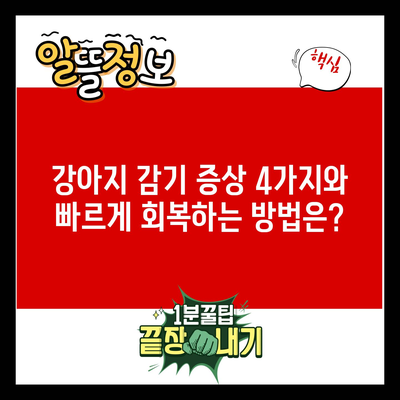 강아지 감기 증상 4가지와 빠르게 회복하는 방법은?