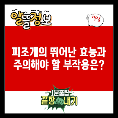 피조개의 뛰어난 효능과 주의해야 할 부작용은?