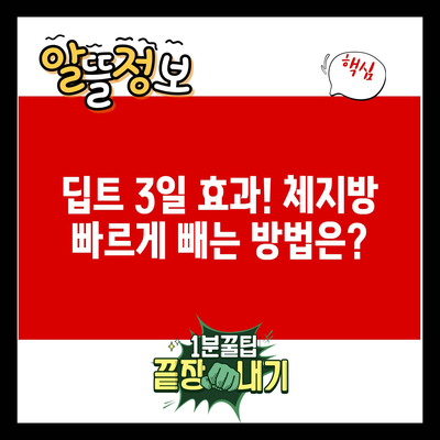 딥트 3일 효과! 체지방 빠르게 빼는 방법은?