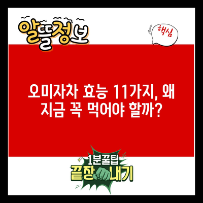 오미자차 효능 11가지, 왜 지금 꼭 먹어야 할까?