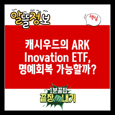 캐시우드의 ARK Inovation ETF, 명예회복 가능할까?