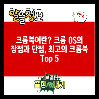 크롬북이란? 크롬 OS의 장점과 단점, 최고의 크롬북 Top 5