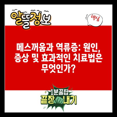 메스꺼움과 역류증: 원인, 증상 및 효과적인 치료법은 무엇인가?