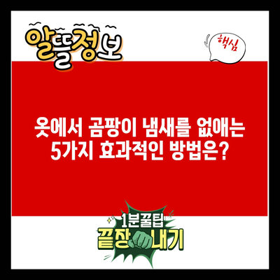 옷에서 곰팡이 냄새를 없애는 5가지 효과적인 방법은?