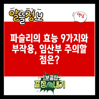 파슬리의 효능 9가지와 부작용, 임산부 주의할 점은?