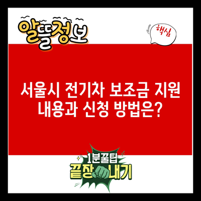 서울시 전기차 보조금 지원 내용과 신청 방법은?