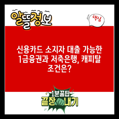 신용카드 소지자 대출 가능한 1금융권과 저축은행, 캐피탈 조건은?