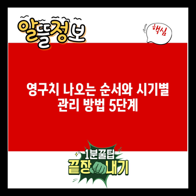 영구치 나오는 순서와 시기별 관리 방법 5단계