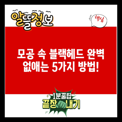 모공 속 블랙헤드 완벽 없애는 5가지 방법!