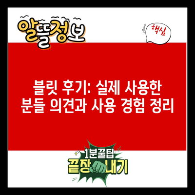 블릿 후기: 실제 사용한 분들 의견과 사용 경험 정리