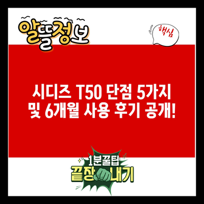 시디즈 T50 단점 5가지 및 6개월 사용 후기 공개!