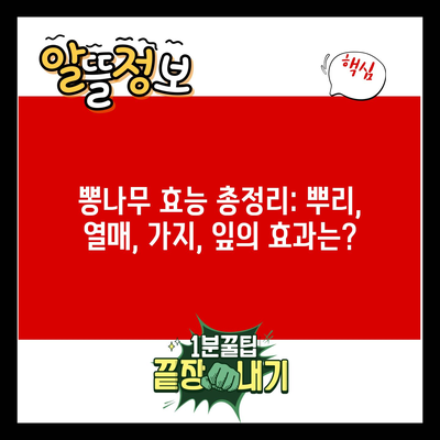 뽕나무 효능 총정리: 뿌리, 열매, 가지, 잎의 효과는?