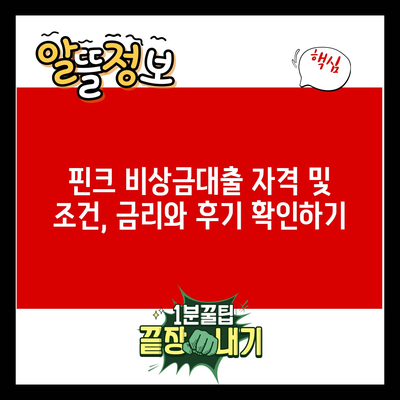 핀크 비상금대출 자격 및 조건, 금리와 후기 확인하기