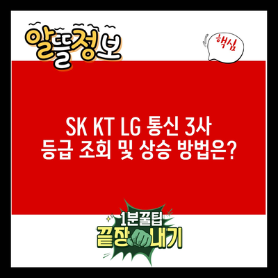 SK KT LG 통신 3사 등급 조회 및 상승 방법은?