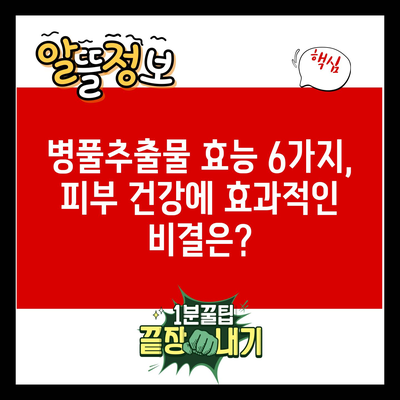 병풀추출물 효능 6가지, 피부 건강에 효과적인 비결은?