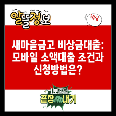 새마을금고 비상금대출: 모바일 소액대출 조건과 신청방법은?