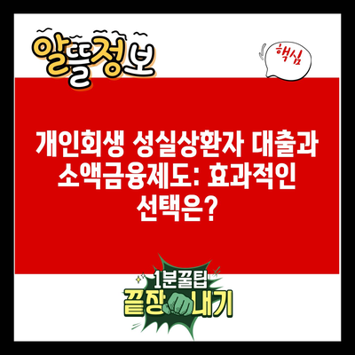 개인회생 성실상환자 대출과 소액금융제도: 효과적인 선택은?