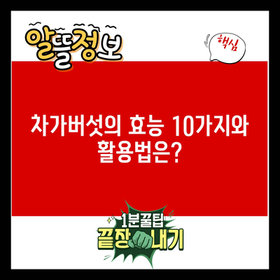 차가버섯의 효능 10가지와 활용법은?