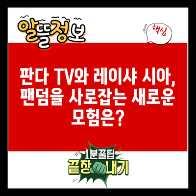 판다 TV와 레이샤 시아, 팬덤을 사로잡는 새로운 모험은?