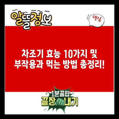 차조기 효능 10가지 및 부작용과 먹는 방법 총정리!