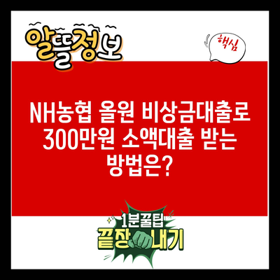 NH농협 올원 비상금대출로 300만원 소액대출 받는 방법은?