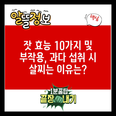 잣 효능 10가지 및 부작용, 과다 섭취 시 살찌는 이유는?