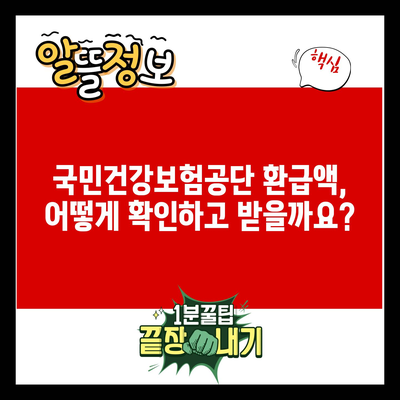 국민건강보험공단 환급액, 어떻게 확인하고 받을까요?