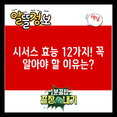 시서스 효능 12가지! 꼭 알아야 할 이유는?