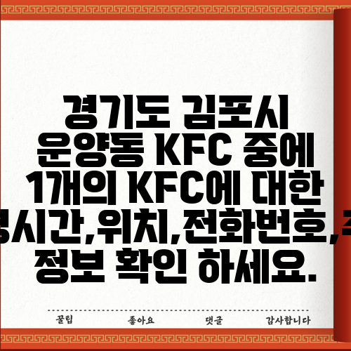 경기도 김포시 운양동 KFC 중에 1개의 KFC에 대한 운영시간,위치,전화번호,주소 정보 확인 하세요.