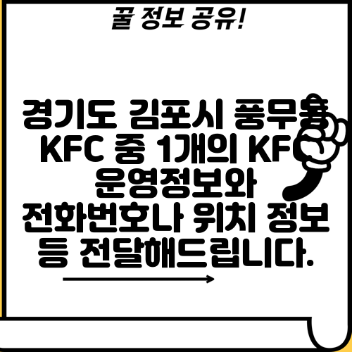 경기도 김포시 풍무동 KFC 중 1개의 KFC 운영정보와 전화번호나 위치 정보 등 전달해드립니다.