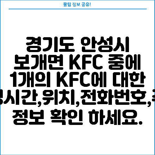 경기도 안성시 보개면 KFC 중에 1개의 KFC에 대한 운영시간,위치,전화번호,주소 정보 확인 하세요.