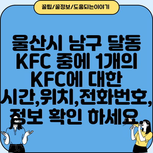울산시 남구 달동 KFC 중에 1개의 KFC에 대한 운영시간,위치,전화번호,주소 정보 확인 하세요.