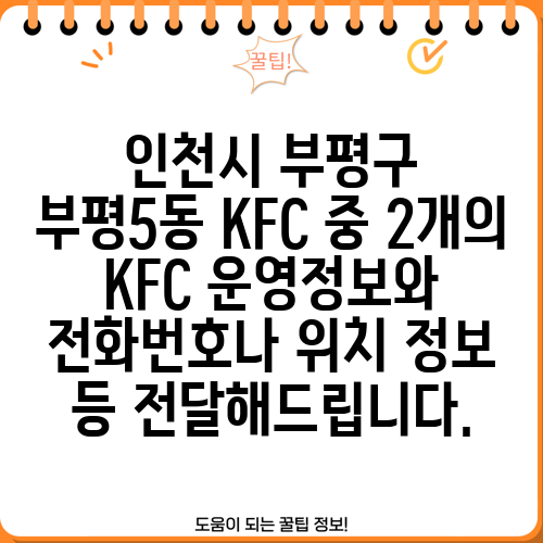 인천시 부평구 부평5동 KFC 중 2개의 KFC 운영정보와 전화번호나 위치 정보 등 전달해드립니다.