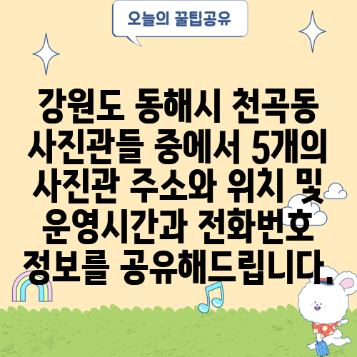 강원도 동해시 천곡동 사진관들 중에서 5개의 사진관 주소와 위치 및 운영시간과 전화번호 정보를 공유해드립니다.